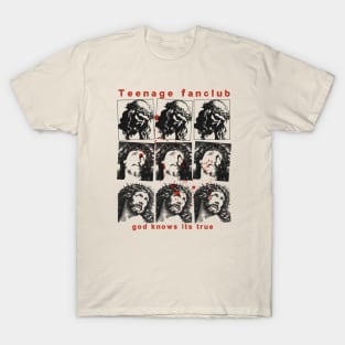 teenage fanclub // fan art T-Shirt